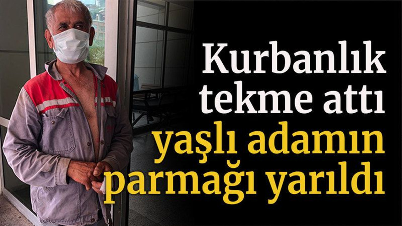 Kurbanlık tekme attı yaşlı adamın parmağı yarıldı